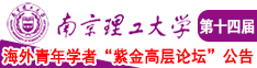 小姑娘逼南京理工大学第十四届海外青年学者紫金论坛诚邀海内外英才！